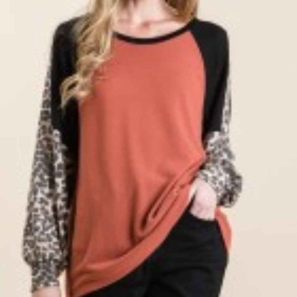 Women's Leopard Print Colorblock Long Sleeve Top